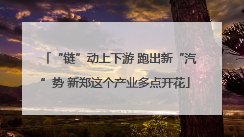 “链”动上下游 跑出新“汽”势 新郑这个产业多点开花