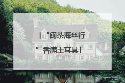 “闽茶海丝行”香满土耳其