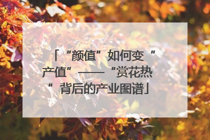 “颜值”如何变“产值”——“赏花热”背后的产业图谱