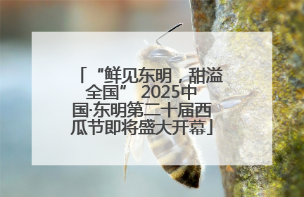 “鲜见东明，甜溢全国” 2025中国·东明第二十届西瓜节即将盛大开幕