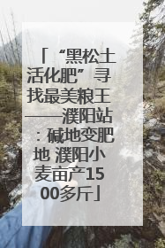 “黑松土活化肥”寻找最美粮王——濮阳站：碱地变肥地 濮阳小麦亩产1500多斤