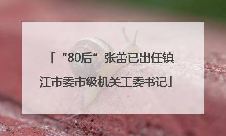 “80后”张蕾已出任镇江市委市级机关工委书记