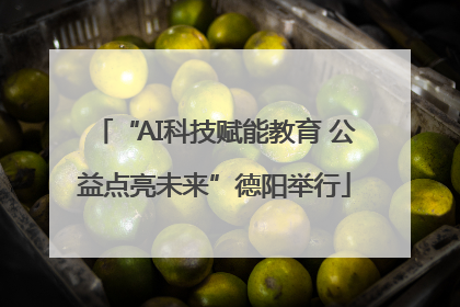 “AI科技赋能教育 公益点亮未来”德阳举行