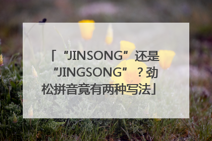 “JINSONG”还是“JINGSONG”？劲松拼音竟有两种写法