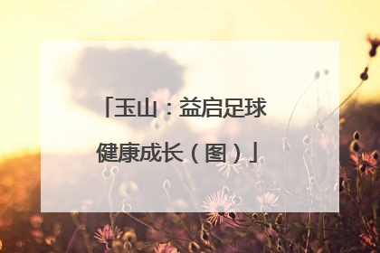 玉山：益启足球 健康成长（图）