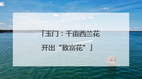 玉门：千亩西兰花开出“致富花”