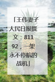 王伟妻子人民日报撰文：81192，一架永不停航的战机