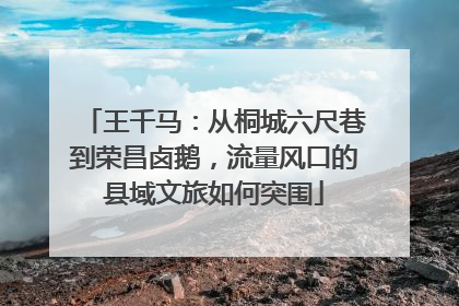王千马：从桐城六尺巷到荣昌卤鹅，流量风口的县域文旅如何突围