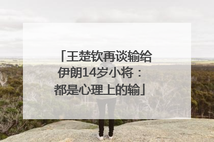 王楚钦再谈输给伊朗14岁小将：都是心理上的输