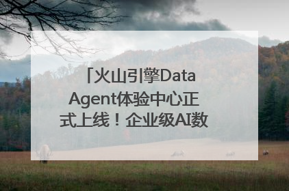 火山引擎Data Agent体验中心正式上线！企业级AI数据专家触手可及