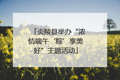 炎陵县举办“浓情端午‘粽’享美好”主题活动