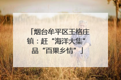 烟台牟平区王格庄镇：赶“海洋大集” 品“百果乡情”