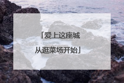 爱上这座城 从逛菜场开始