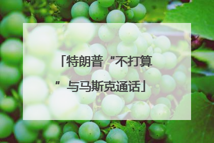 特朗普“不打算”与马斯克通话