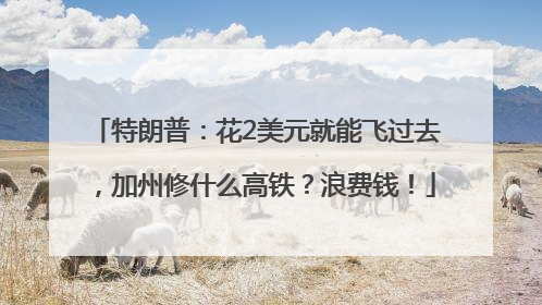 特朗普：花2美元就能飞过去，加州修什么高铁？浪费钱！