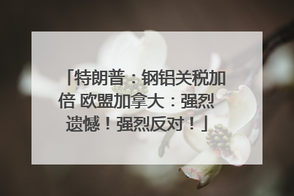 特朗普：钢铝关税加倍 欧盟加拿大：强烈遗憾！强烈反对！