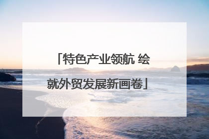 特色产业领航 绘就外贸发展新画卷