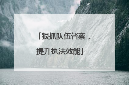 狠抓队伍督察，提升执法效能