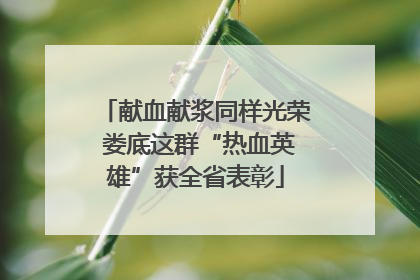 献血献浆同样光荣 娄底这群“热血英雄”获全省表彰