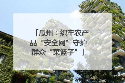 瓜州：织牢农产品“安全网”守护群众“菜篮子”