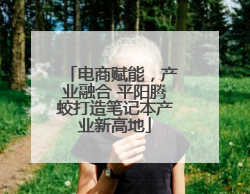 电商赋能，产业融合 平阳腾蛟打造笔记本产业新高地