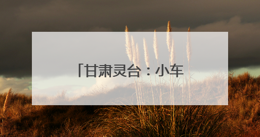 甘肃灵台：小车间榨出乡村全面振兴“幸福油”