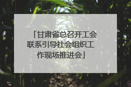 甘肃省总召开工会联系引导社会组织工作现场推进会