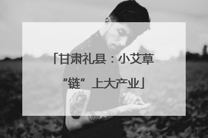 甘肃礼县：小艾草“链”上大产业