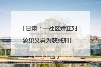甘肃：一社区矫正对象见义勇为获减刑