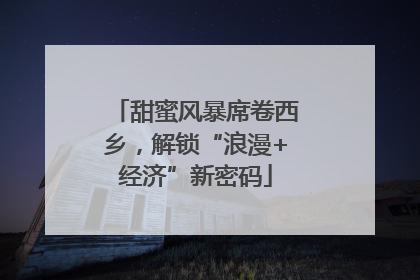 甜蜜风暴席卷西乡，解锁“浪漫+经济”新密码