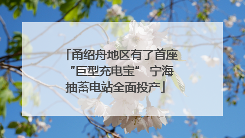 甬绍舟地区有了首座“巨型充电宝” 宁海抽蓄电站全面投产