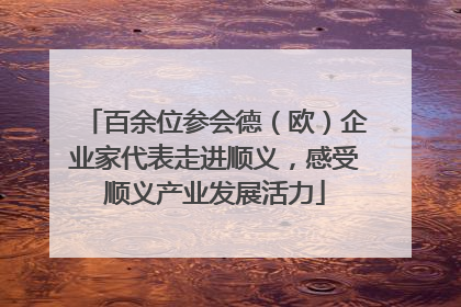 百余位参会德（欧）企业家代表走进顺义，感受顺义产业发展活力