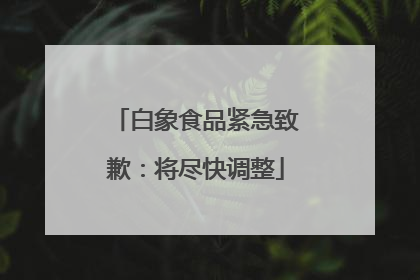 白象食品紧急致歉：将尽快调整