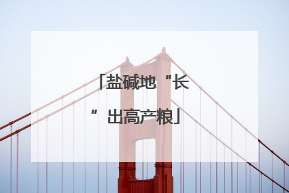 盐碱地“长”出高产粮