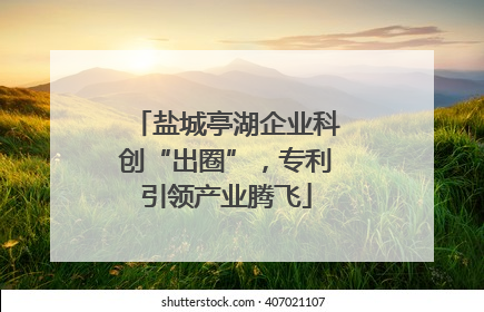 盐城亭湖企业科创“出圈”，专利引领产业腾飞
