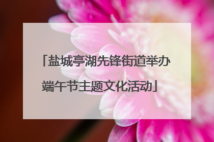 盐城亭湖先锋街道举办端午节主题文化活动