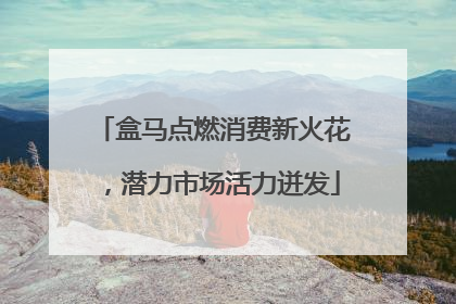 盒马点燃消费新火花，潜力市场活力迸发