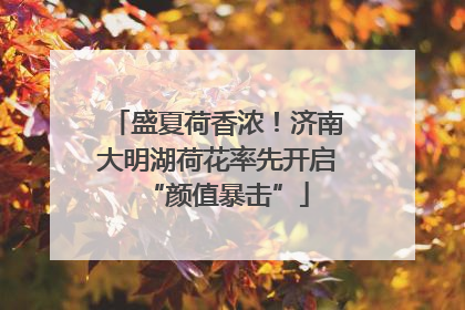 盛夏荷香浓！济南大明湖荷花率先开启“颜值暴击”
