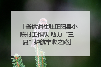 省供销社驻正阳县小陈村工作队 助力“三夏”护航丰收之路