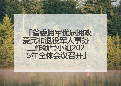 省委拥军优属拥政爱民和退役军人事务工作领导小组2025年全体会议召开