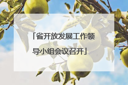 省开放发展工作领导小组会议召开