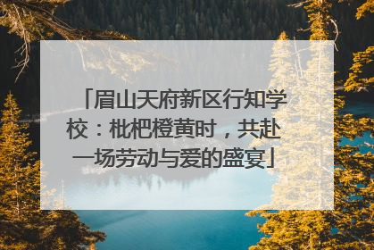 眉山天府新区行知学校：枇杷橙黄时，共赴一场劳动与爱的盛宴