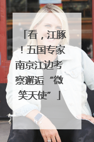 看，江豚！五国专家南京江边考察邂逅“微笑天使”