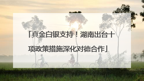 真金白银支持！湖南出台十项政策措施深化对德合作