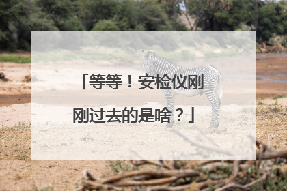 等等！安检仪刚刚过去的是啥？