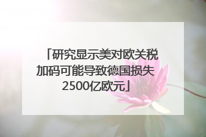 研究显示美对欧关税加码可能导致德国损失2500亿欧元