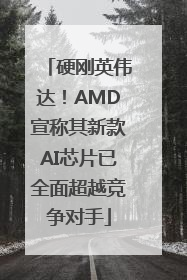 硬刚英伟达！AMD宣称其新款AI芯片已全面超越竞争对手