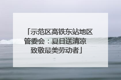 示范区高铁东站地区管委会：夏日送清凉 致敬最美劳动者