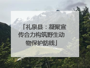 礼泉县：凝聚宣传合力构筑野生动物保护防线