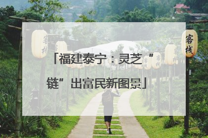 福建泰宁：灵芝“链”出富民新图景